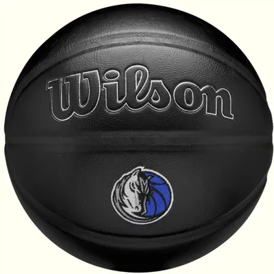 Obrázok produktu pre Wilson Lopty WZ4026407XB
