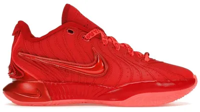 Obrázok produktu pre Nike LeBron 21 James Gang - veľkosť EU 44