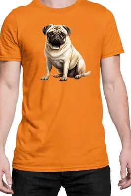 Immagine prodotto di Maglietta da uomo Dogs Breeds Pug Dog Breed 008, Man 2XL , Orange