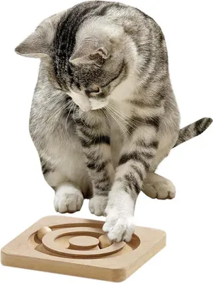 Produktbild von Karlie Kitty Brain Train Roundabout
