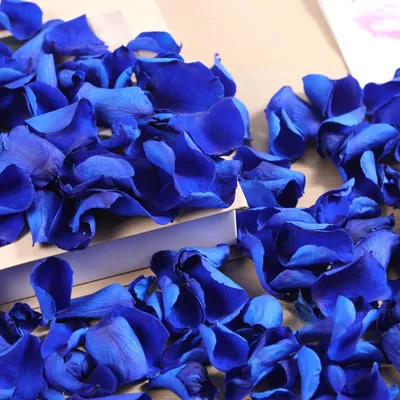 Getrocknete Rosenblätter, 120 Stück, blau, für Hochzeitsdekoration