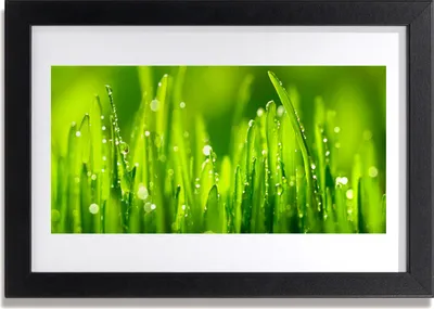 Produktbild von Bild 30x20 MDF-Rahmen Wandkunst Grünes Gras-Tau-Tropfen