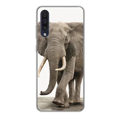Produktbild von MuchoWow® Handyhülle Schutzhülle Hülle für Samsung Galaxy A50 Elefant - Kinder - Tiere - Mädchen Silikon Softcase Handy Hülle - Mobiltelefonhülle