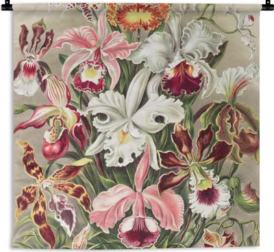 Produktbild von MuchoWow® Wandteppich Wandbehang Blumen - Ernst Haeckel - Jahrgang - Orchidee 150x150 cm Tapisserie Dekoration Wandtuch - Wohnaccessoires - Modernes