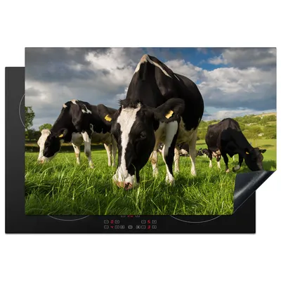 Produktbild von KitchenYeah© Herdabdeckplatte Kühe - Tiere - Gras - Wiese - Bauernhof , 77x51cm, Küche Deko, Glaskeramikkochfeld Herdabdeckung, Abdeckplatte fùr Kochfeld
