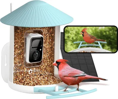 Obrázek produktu pro Birdfy Feeder Solar (AI předplatné), Full HD, IP65, noční vidění, aplikácia