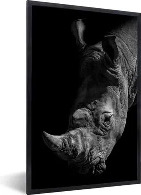 Produktbild von MuchoWow® MuchoWow® Gerahmtes Poster Nahaufnahme eines Nashorns auf schwarzem Hintergrund 20x30 cm - Poster mit zchwarzem Bilderrahmen - Drucken - Bilder Poster im Rahmen