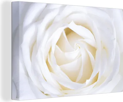 Zdjęcie produktu dla MuchoWow® - Obraz na płótnie - Róża - Biały - Kwiat, fototapeta, dekoracja ścienna, obrazy do salonu, 90x60cm