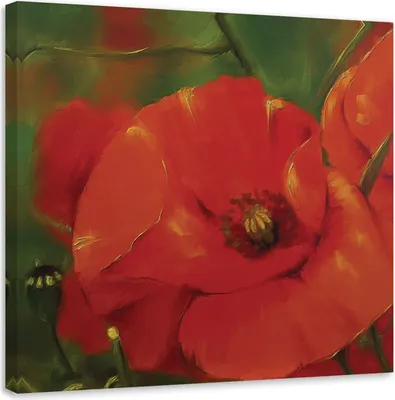 Produktbild von Leinwandbild rote mohnblumen auf einer wiese 60x60 cm Feeby rot wandbild bereit zum aufhängen