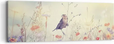 Produktbild von Bild auf Leinwand - Leinwandbild - Einteilig - Vogel Wildschwein Wiese - 90x30cm - Wand Bild - Wanddeko - Wandbilder - Leinwanddruck - Bilder - Wanddekoration - Leinwand bilder - AB90x30-4279