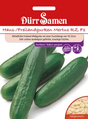 Produktbild von Dürr-Samen - Haus-/Freilandgurken Mertus RZ F1 - Saatgut - 4124
