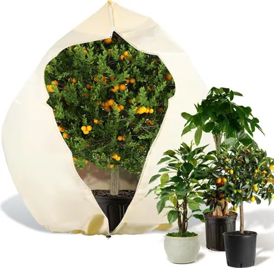 Immagine prodotto di Jayseuw 1x protezione invernale 250x360cm per piante in vaso Palme Protezione dal gelo Protezione invernale piante Velo da giardino 100g/m²