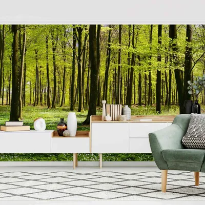 Produktbild von Vliestapete - Waldwiese - Fototapete Breit, Größe HxB:190cm x 288cm