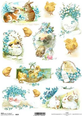 Produktbild von ITD Reispapier Decoupage Bastelpapier Serviettentechnik-R829 Hühner Eier Vergissmeinnicht