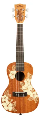 Produktbild von KALA KA HIBISCUS C Hibiscus Mahogany Concert
