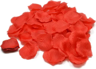 Produktbild von 100 Stück Rosenblüten 5cm, Farbe:rot 250