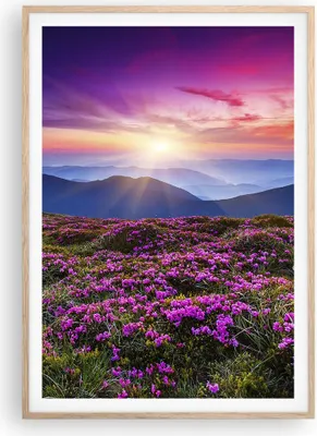Produktbild von Gerahmtes Poster - Rahmen in heller Eiche - Wiese Berg Himmel Landschaft - 70x100 cm - Wand Bild - Wanddeko - Wandbilder - Wandposter - Bilderrahmen - Bilder - Kunstdruck - Wandbild - P2NPA70x100-2719
