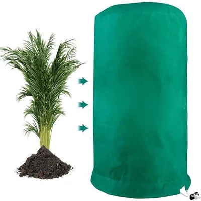 Obrázek produktu pro Zimní ochrana pro rostliny 80 x 100 cm, prodyšná, zelená