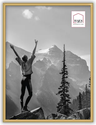 Immagine prodotto di Portafoto in plastica Haes Deco Easy Frame Oro 30x40 cm