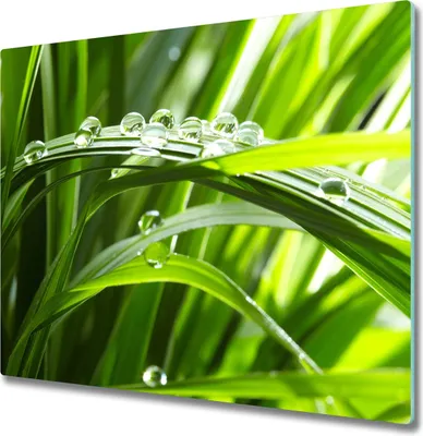 Produktbild von Glas Herdabdeckplatte 60x52 cm Spritzschutz Glasabdeckplatte Schneidebrett Tropfen Gras