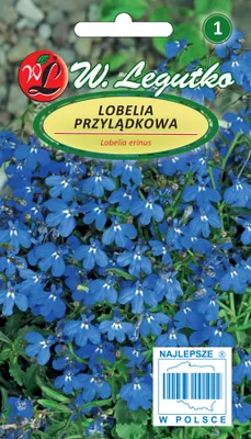 Obrázek produktu pro Semena Lobelia capensis, modrá lobelka