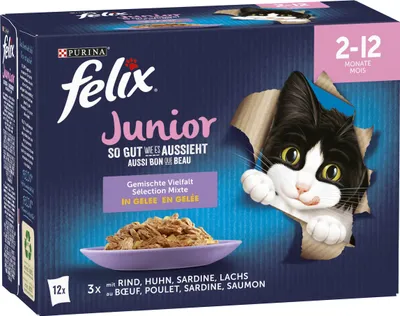 Produktbild von FELIX So gut wie es aussieht Junior Katzennassfutter, 1x12x85g (1x12x85g)