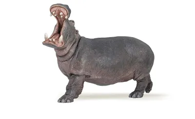 Produktbild von Papo Nilpferd, 3 Jahr(e), Wild animal, Grau, PVC