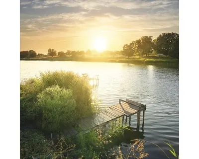 Produktbild von Glasbild Lonely Lake I 30x30 cm