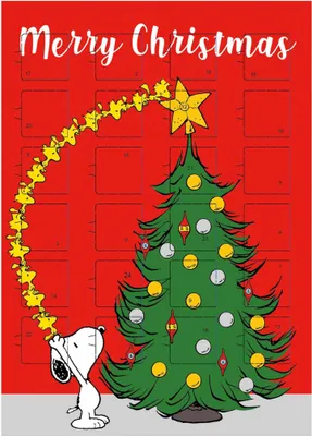 Produktbild von Snoopy und Woodstock Adventskalender Peanuts