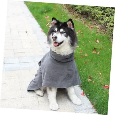 Produktbild von Super saugfähiges und weiches Hundebadetuch aus Mikrofaser mit schneller Trocknung und verstellbaren Trägern in verschiedenen Größen für Hunde und Katzen