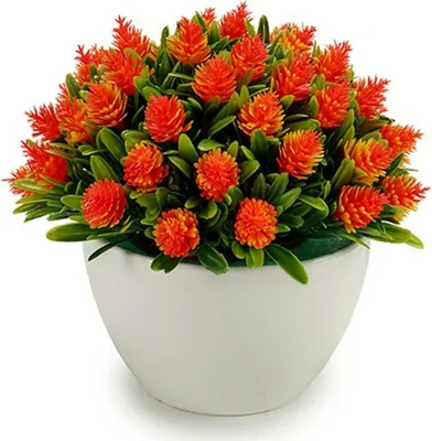 Image de Plante décorative avec fleurs en plastique 14 x 12,5 x 14 cm (12 pièces)