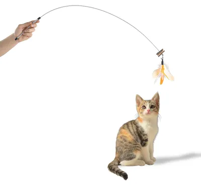 Produktbild von Katzenangel mit Draht · Katzenspielzeug ca. 95 cm · Federanhänger · orange