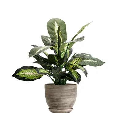 Image de Pot de fleurs en céramique rond avec soucoupe gris foncé 13 cm brillant avec trou de drainage
