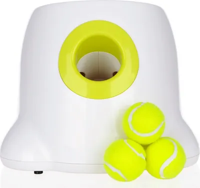 A white automatic ball launcher for dogs with three tennis balls in front of it.