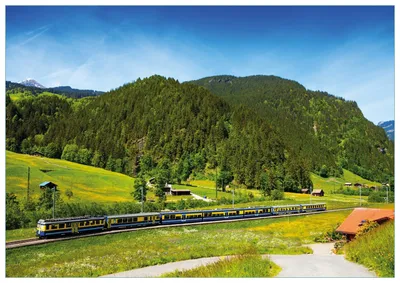 Produktbild von Wallario Premium Glasbild, freischwebende Optik, kräftige Farben, Größe 100 x 70 cm Motiv Eisenbahn in einer Sommerlandschaft in der Schweiz