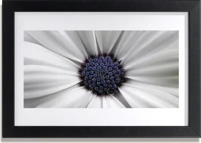 Produktbild von Bild 30x20 MDF-Rahmen Wandkunst Blumen Pflanzen