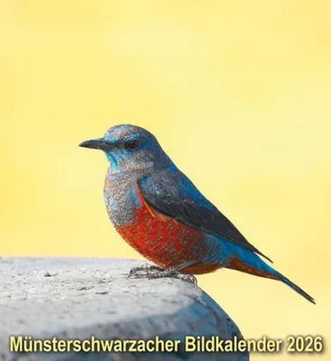 Produktbild von Münsterschwarzacher Bildkalender 2026