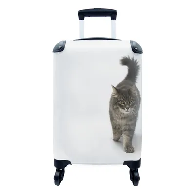 Produktbild von MuchoWow® Koffer Handgepäck Trolley Rollkoffer Kleine Reisekoffer mit 4 Rollen - Katze läuft auf weißem Hintergrund - Cabin Size < 55x40x23 cm & 55x40x20 cm - Fotokoffer - Kabinenkoffer - Boardgepäck - Reise-Box - Reisekoffer - Reisegepäck - Koffer mit Bild - Trolley für Kinder