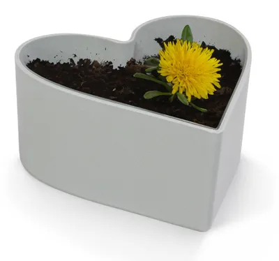 Immagine prodotto di Fioriera a cuore per esterni Ciotola decorativa vintage grigia 15 cm