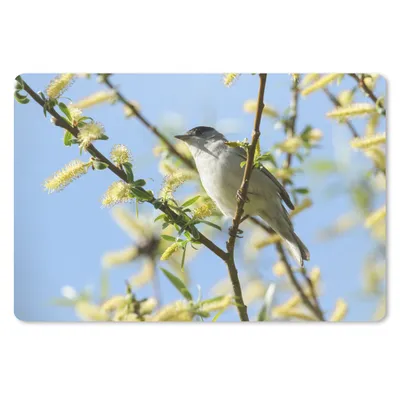 Produktbild von MuchoWow® Mauspad Mousepad Vogel im Baum 27x18 cm - Mousepads - Maus Mat - Pad - Mausunterlage - Büroartikel - Desk Matten