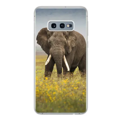 Produktbild von MuchoWow® Handyhülle Schutzhülle Hülle für Samsung Galaxy S10e Elefant - Blumen - Gras - Tiere - Natur Silikon Softcase Handy Hülle - Handy