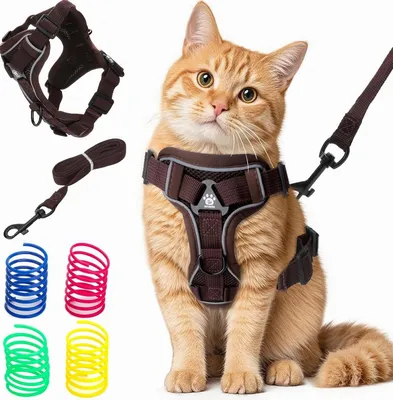 Produktbild von Katzen-Geschirr-Leinen-Set, atmungsaktiv, reflektierend