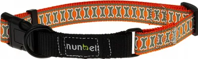 Produktbild von Großes reflektierendes Hundehalsband mit Schnalle L (40-60 cm)