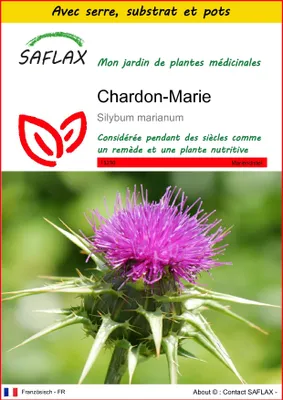 Image de SAFLAX Ensemble de culture - Chardon-Marie - 75 graines - Silybum