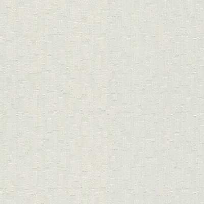 Produktbild von A.S. Création Vliestapete Meistervlies Pro Protect 2, weiss, überstreichbar, 10,05 m x 0,53 m, 570215, 5702-15