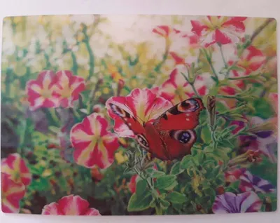 Produktbild von 3 D Ansichtskarte Schmetterling, Postkarte Wackelkarte Hologrammkarte, Blumen