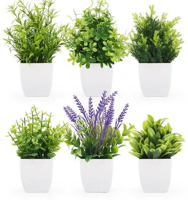 Image de Fleurs artificielles en plastique, 6 petites plantes artificielles en pot, décoration d'intérieur, plantes artificielles avec de la lavande et de l'eucalyptus