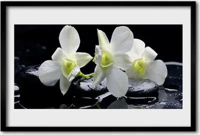 Produktbild von Bild 60x40 MDF-Rahmen Wandkunst Rosa Orchidee
