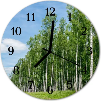 Produktbild von Glasuhr Wanduhr Küchenuhr Echt-Glas 30fi cm Birken grün
