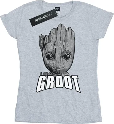 Produktbild von Marvel - "Guardians Of The Galaxy" T-Shirt für Damen BI22617 (M) (Grau)